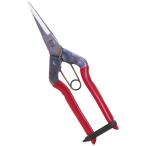  близко правильный (CHIKAMASA)chikamasa нержавеющая сталь . порез .T-550S