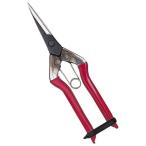  близко правильный . порез .. прямой длина лезвие в коробке T-551