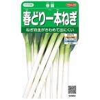 sakata. tane реальный . овощи 3802 весна .. 1 шт лук порей весна .00923802