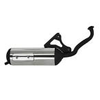 NBS мотоцикл детали центральный (Bike Parts Center) stain наматывать muffler Honda Live Dio ZX/SR AF34/AF35 для 2003