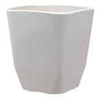  Apple одежда - горшок pra горшок горшок покрытие следы lie квадратное 290 type белый земля емкость 14L глубина 29× ширина 29× высота 