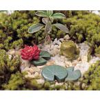  Mini Mini животное комплект лягушка 