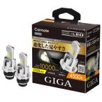 ショッピングHID カーメイト(Carmate) GIGA HID D2S 用 LED ヘッドバルブD10シリーズ 4500K 日本国内設計 保証 3年 ポン付け