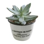 ショッピングプランター COVENT GARDEN プランター エナメル・フルールポット S LM-12