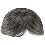  мужской 5 минут парик medium Short GB-24-TDGH