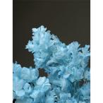 【プリザーブド】大地農園/カシワバアジサイ・ヘッド /約2輪/ブルーシアン/01075-661