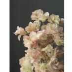 [ консервированный ] большой земля сельское хозяйство ./ka помятость ba гортензия * head / примерно 2 колесо / зеленый розовый /01075-713