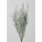 [ консервированный ] большой земля сельское хозяйство ./ душ стакан /1 пачка / примерно 25g/ коврик голубой /01090-602