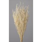 [ консервированный ] большой земля сельское хозяйство ./ soft -тактный -be/ примерно 35g/ "теплый" белый /01760-011