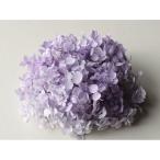 【プリザーブド】大地農園/ソフトアナベル・ヘッド /約2輪/すみれパープル/02160-441