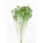 [ сохранять ] большой земля сельское хозяйство ./moli Sony a/ примерно 20g/ glass green /03300-791