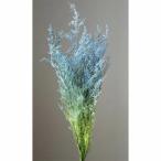 [ сохранять ] большой земля сельское хозяйство ./ rental Piaa /1 пачка / примерно 27g/ голубой | зеленый /03715-670