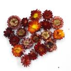 [ dry ] core trailing / износ kli Sam * head натуральный красный примерно 10g* примерно 20 колесо /17514