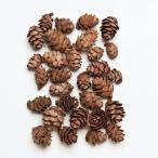 [ dry ] большой земля сельское хозяйство ./tama подставка кукуруза *N/ примерно 30g/ примерно 130~160 шт / примерно 1cm/24720-000