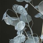 [ dry ] большой земля сельское хозяйство ./ luna задний / baby голубой /30073-621