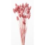 [ dry ] большой земля сельское хозяйство ./poa растения / примерно 15g/k громкий розовый /42020-191