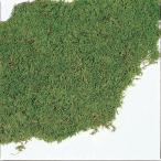 [ dry ] большой земля сельское хозяйство ./si- Tomos / большой /1 коробка / зеленый /61092-700