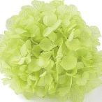 【プリザーブド】東北花材/ソフトあじさい美咲/約2.5輪/フレッシュグリーン/64166