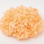 【プリザーブド】東北花材/ソフトあじさい美咲/約2.5輪/フレッシュオレンジ/64243