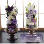 [ free shipping ]. flower preserved flower dome arrange .... flower .... O-Bon new tray 