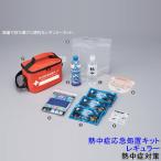 熱中症対策 熱中症応急処置キット レギュラー (375904) 保管 備蓄 手当 作業 応急処置 予防セット