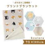 フレンズヒル デジタルプリントブランケット ひざ掛け 毛布 モコモコ 防寒 柴犬 しばいぬ シマエナガ しまえなが 小鳥 猫 ねこ ネコ キャラクター プレゼント