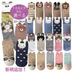 訳あり アウトレット 靴下 キャラクター ソックス レディース キッズ 女子 女の子 かわいい おしゃれ セット 動物 アニマル