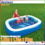 ベストウェイ 大型プール 家庭用プール 54177 BESTWAY