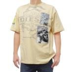 DIESEL ディーゼル メンズクルーネックTシャツ A16162 0PLAT / T-BOXT-SLITS-R3 ベージュ