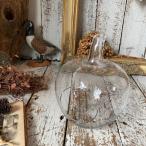 } Apple террариум H21.5cm* стекло цветок основа стекло ваза для цветов менять . ваза * яблоко яблоко * суккулентное растение садоводство * Vintage * античный 