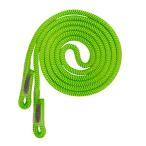 FTC Argiope Evo 11.7 ツリーケア ツリー�