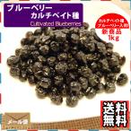 ブルーベリー(カルチベイト種)1kg【送料無料】