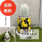 サボテンエスポストア幻楽多肉植物7.5cm鉢陶器鉢受皿付き高さ0.18ｍ人...