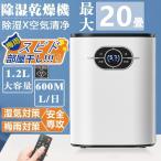 除湿機 衣類乾燥 家庭用 小型 空気