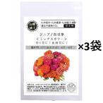 グリーンフィールドプロジェクト　有機種子　ジニア/