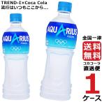 アクエリアス 500ml PET 1ケース × 24本 合計 24本 送料無料 コカコーラ社直送 最安挑戦