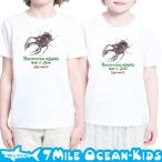 7MILE OCEAN Tシャツ 半袖 子供服 キッズ ジュニア 男の子 女の子 クワガタ 昆虫 カブトムシ