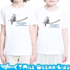 7MILE OCEAN Tシャツ 半袖 子供服 キッズ ジュニア 男の子 女の子 カワセミ 鳥 希少種