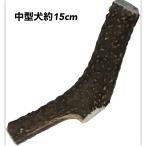 ペットフード研究所鹿の角中型犬熱消...