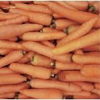  Izumi .. 100 магазин [ утро .. свежий ] тщательно отобранный овощи набор комплект осмотр товар завершено ( морковь 10kg обычная температура рейс )