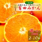 ショッピングみかん 産地直送 有田みかん 和歌山県産 完熟 甘い 家庭用 選べる箱サイズ/5kg