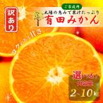 産地直送  訳あり 有田みかん 和歌山県産 完熟 甘い 家庭用 選べる箱サイズ 10kg