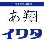 [ стандартный товар ] TrueTypeiwata маленький учебник body загрузка версия [3 час . mail поставка товара ]