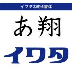 [ стандартный товар ] TrueTypeiwata futoshi учебник body загрузка версия [3 час . mail поставка товара ]
