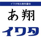 [ стандартный товар ] TrueTypeiwata Special futoshi учебник body загрузка версия [3 час . mail поставка товара ]