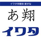 [ стандартный товар ] TrueTypeiwata Song утро body новый .. загрузка версия [3 час . mail поставка товара ]