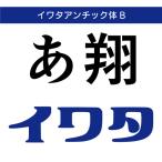 [ стандартный товар ] TrueTypeiwata Anne шик body B загрузка версия [3 час . mail поставка товара ]