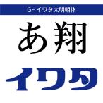[ стандартный товар ] TrueType G-iwata futoshi завтра утром body загрузка версия [3 час . mail поставка товара ]
