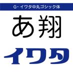 [ стандартный товар ] TrueType G-iwata средний круг готический body загрузка версия [3 час . mail поставка товара ]