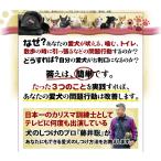 ダメ犬脱出、藤井聡の犬のしつけ方法DVD 日本一のカリスマ訓練士、藤井聡指導　トイレ　吠える　本　スプレー　教室　子犬　グッズ